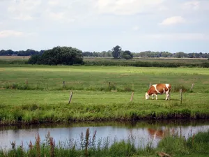 Blockland - Burgdammer Wiesen