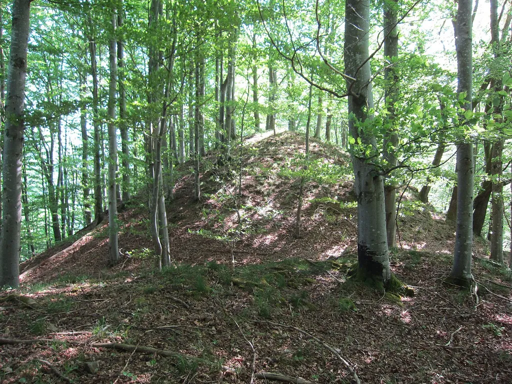 Schlossbühl, western hill (looking towards east)