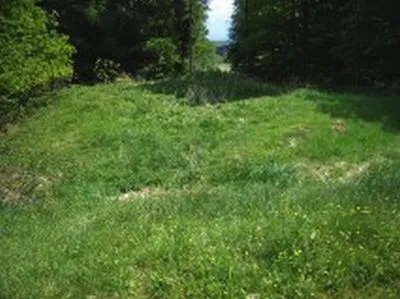 Burgstall Perkheim bzw. Hausberganlage Perkheim