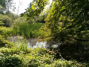 Lahntal zwischen Marburg und Gießen