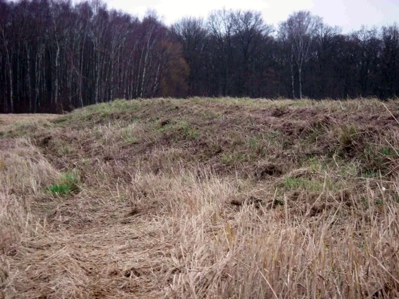 Burgwall Weinberg-Waldsiedlung (Nauen)