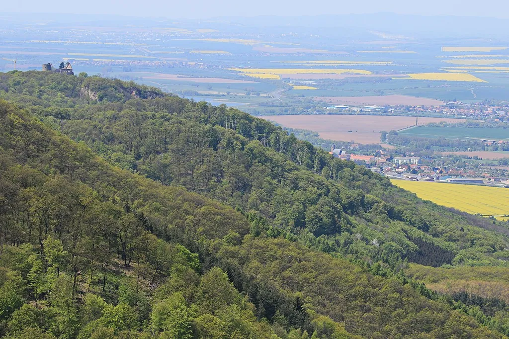 Kyffhäuser in Thüringen im Frühling 2016: Blick nach Nordwesten über den Wald im Naturschutzgebiet „Rothenburg“ (innerhalb des LSGs Kyffhäuser/ST und im Naturpark Kyffhäuser), oben links die Ruine der Rothenburg; Bereiche im Hintergrund überwiegend in Sachsen-Anhalt, rechts der Ort Kelbra.
