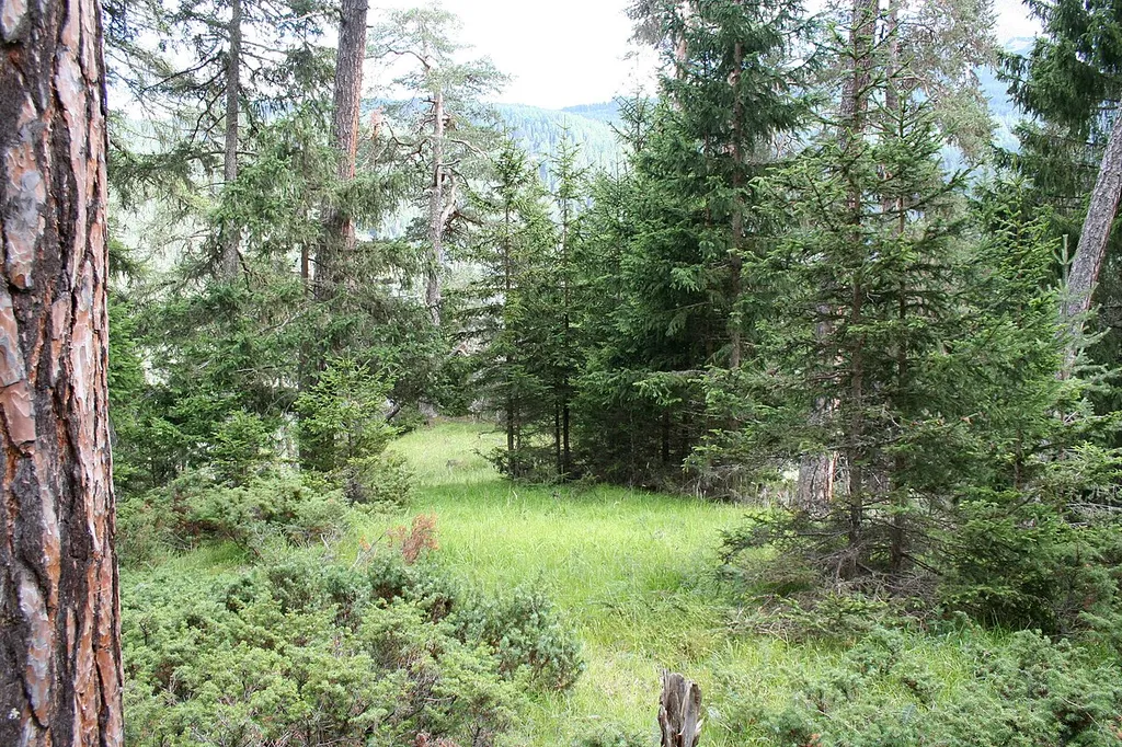 Burgplateau