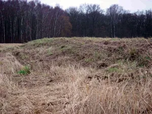 Burgwall Weinberg-Waldsiedlung