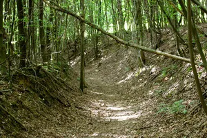 Wallburgen in Bergischen Land