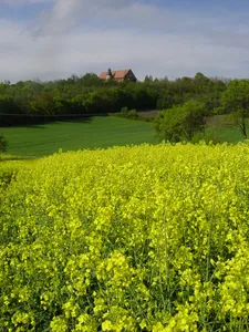 Bettenburg castle