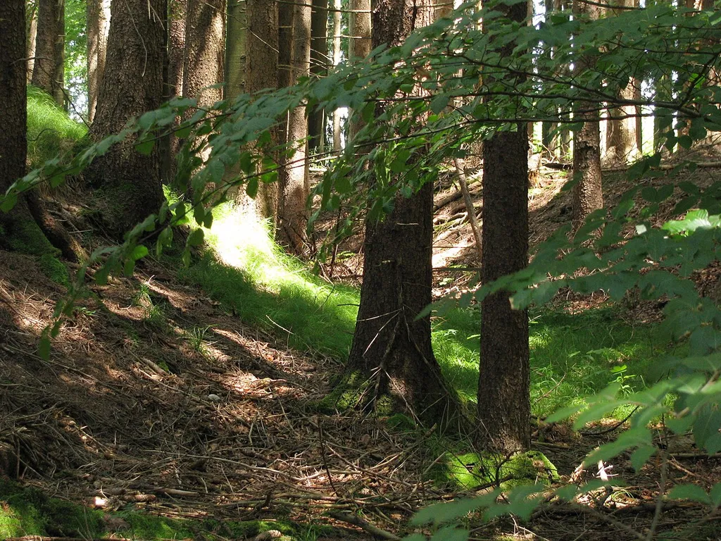 Burgstall Fußstain, Ringgraben