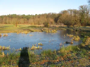 Nordholz