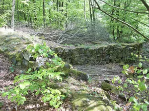 Burgruine Hardeck