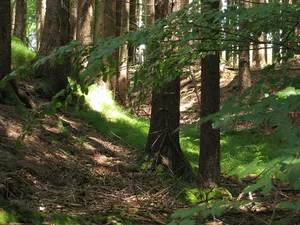 Burgstall Fußstain