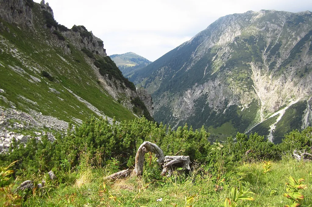 Schutz von Landschaftsteilen im Bereich der Allgäuer Hochalpenkette mit Einschluß der Oberstdorfer Täler und des Hintersteiner Tales im Landkreis Oberallgäu