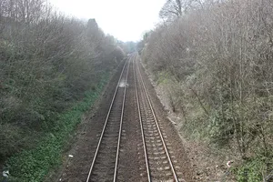 Godminster Lane Quarry and Railway Cutting