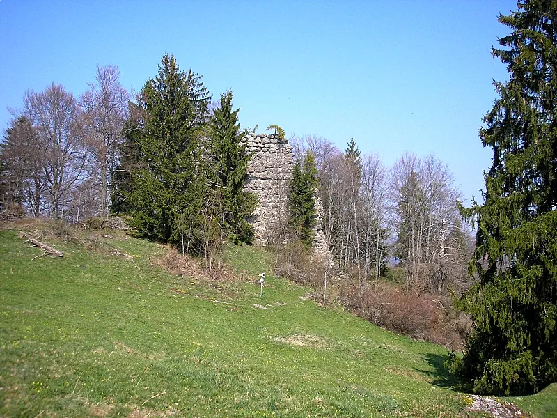 Rettenberg (Vorderburg) castle (Landkreis Oberallgäu, Bavaria, Germany). The central castle, view from the south