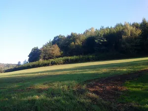 Womburg