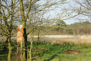 Wunderburger Moor