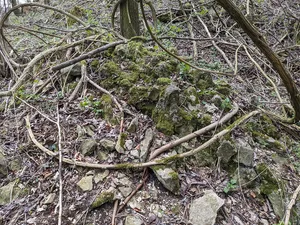 Burgstall Altenburg