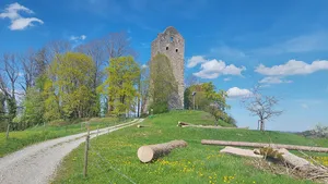 Castle Ruin Neuravensburg