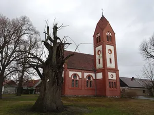 Naturdenkmal Winterlinde alte Dorfaue, Nähe Kirche; Flur 1, Flurstück 309 in Drößig