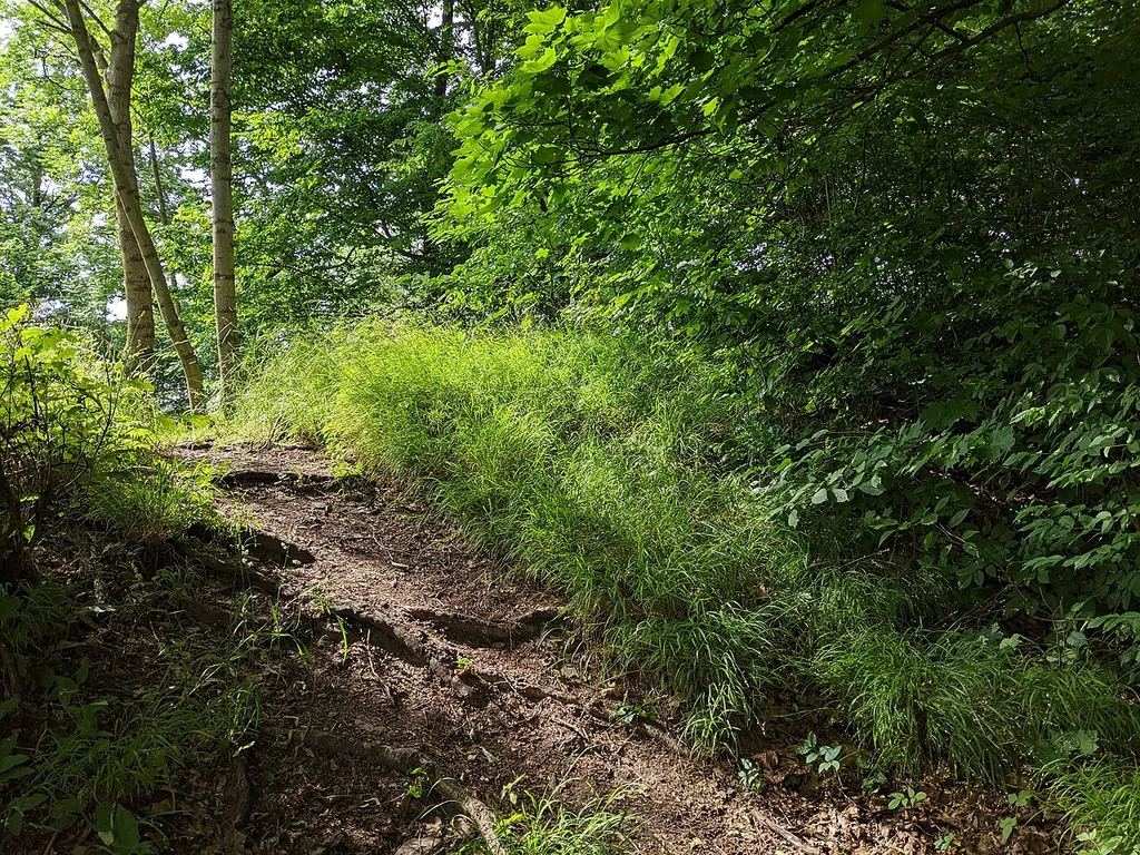 Kyšperk - pozůstatky středověkého hradu nad Letohradem