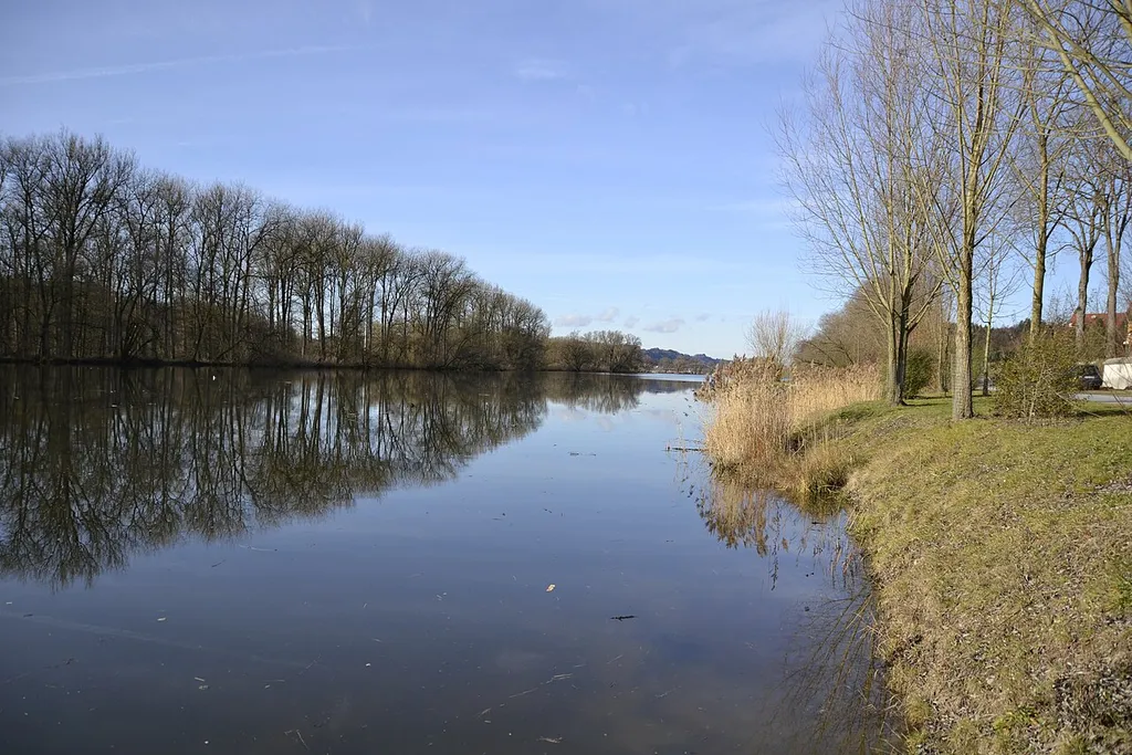 Altarm der Donau in Windorf.