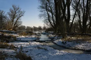 Donau und Altwässer zwischen Regensburg und Straubing