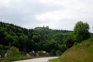 Fledermausquartiere um Hohenburg