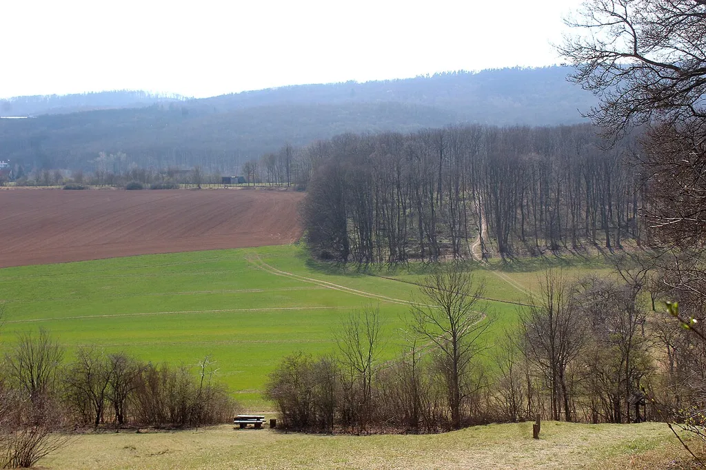 Stecklenberg, NSG Münchenberg, landscape