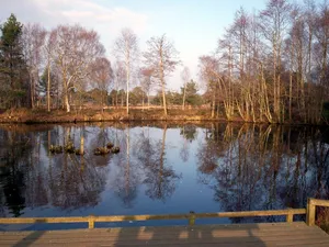 Peatlands Park