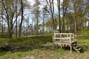 Hünenburg bei Dransfeld