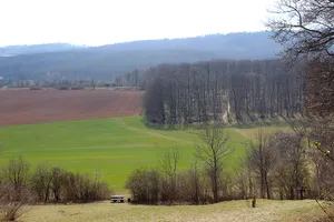 Harz und nördliches Harzvorland (Quedlinburg)
