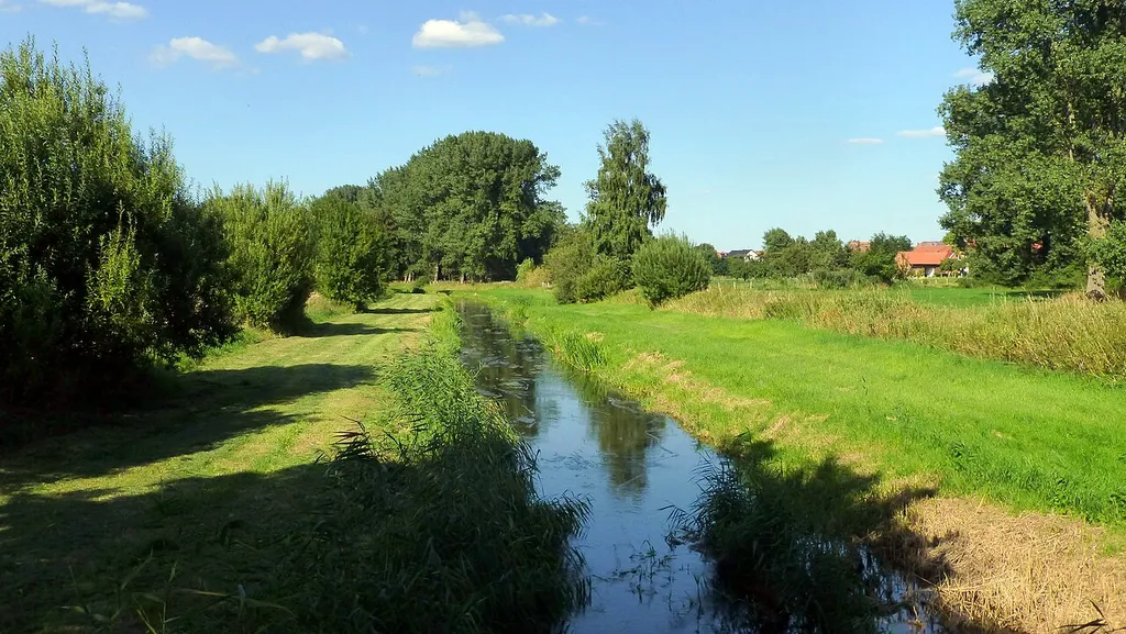Die Burgdorfer Aue zwischen Röddensen und Steinwedel