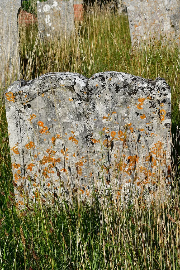 Otterton churchyard in East Devon