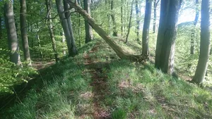Burgberg und Wall