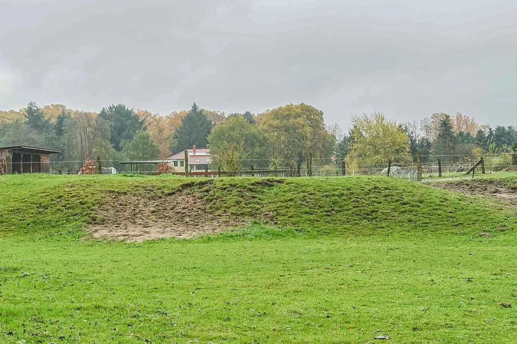 Burgplatz auf dem Weinberg in Meinersen von Westen
