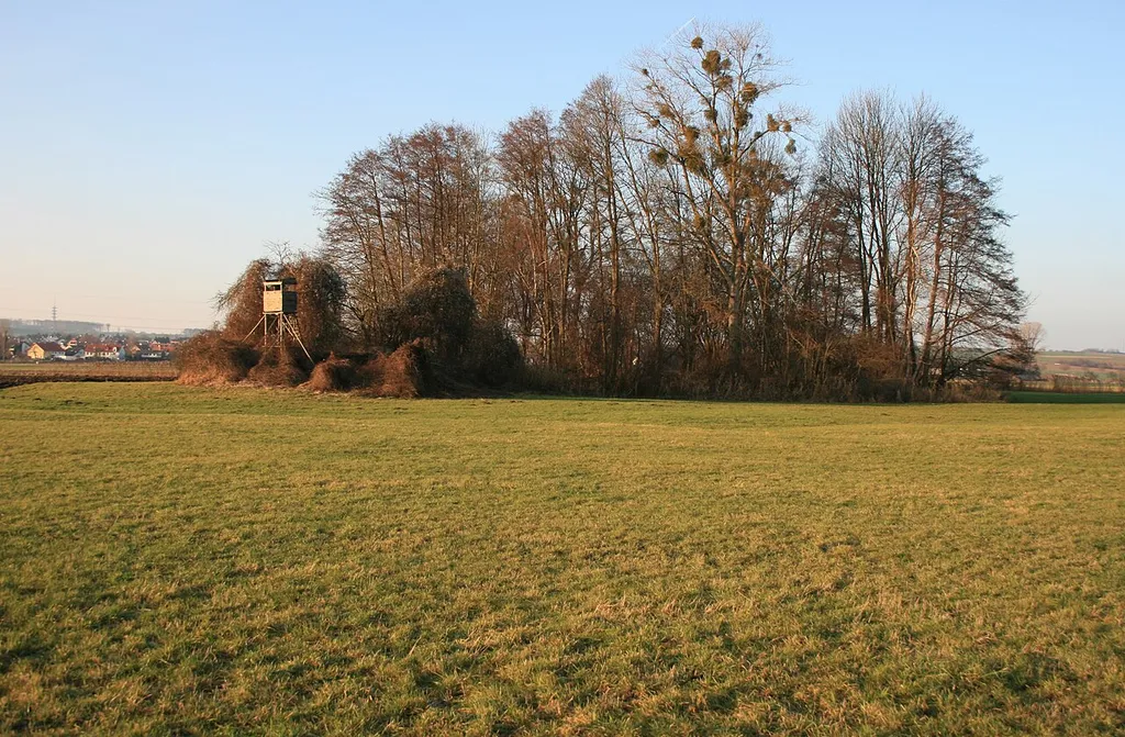 Castle Wachenbuchen, Maintal-Wachenbuchen, Hesse, View from Southeast.