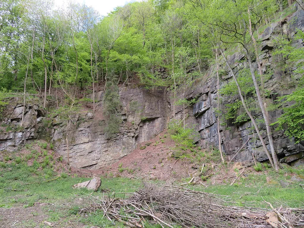 Geschützter Landschaftsbestandteil Aufschluss an der Burg