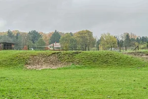 Burg auf dem Weinberg
