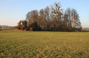 Burg Wachenbuchen
