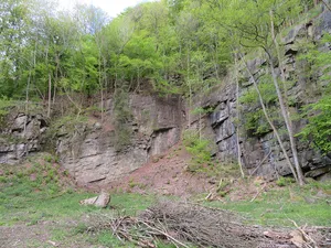 Geschützter Landschaftsbestandteil Aufschluss an der Burg