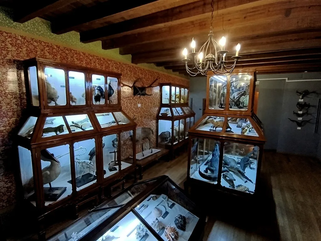 Museo de Historia Natural Alfredo Dugès de la Universidad de Guanajuato, México.