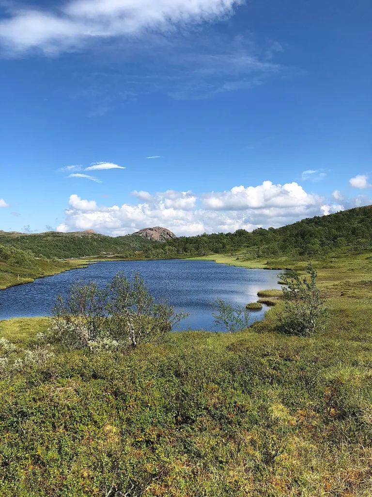 Lierne National Park, Trøndelag, Norway