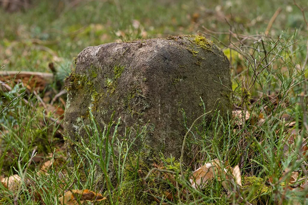 Grenzstein Fürther Stadtwald in Fürth