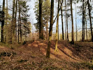 Obere Heidenburg