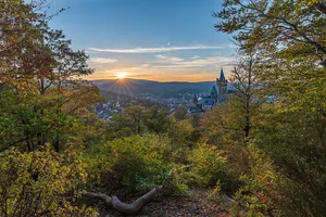 Laubwaldgebiet zwischen Wernigerode und Blankenburg