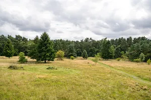 Senne mit Teutoburger Wald