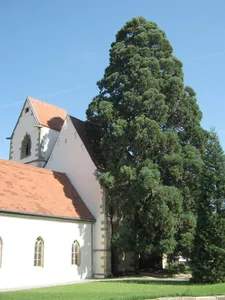 Marienkirche (Bronnweiler)