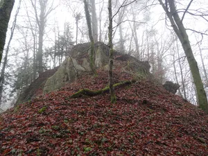 Alt-Bubenberg Castle