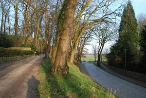Bökelnburg
