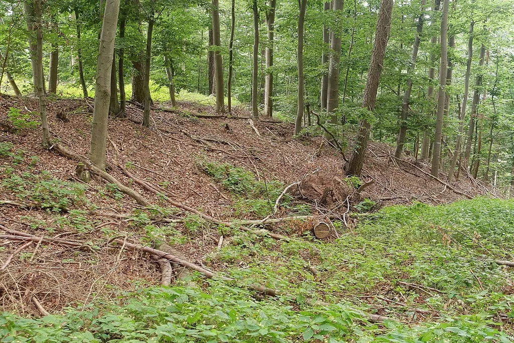 Der Wall im Norden der Hünschen Burg