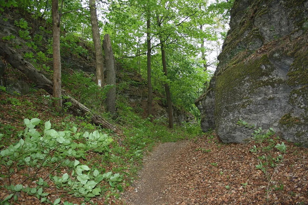 Halsgraben